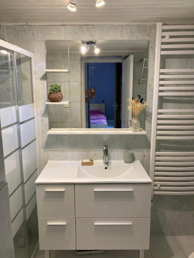 Gite Cosy 25 Min Lyon Vienne St Etienne Longes Eksteriør bilde